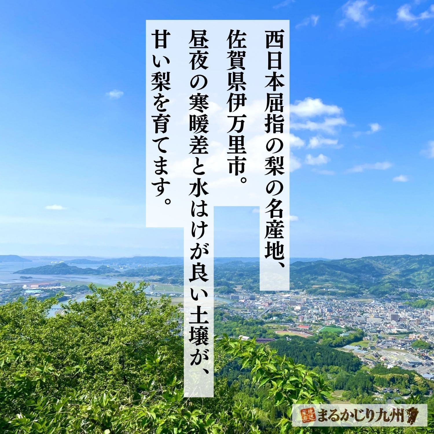 山と海に囲まれた佐賀県伊万里市の自然環境と梨の名産地の風景
