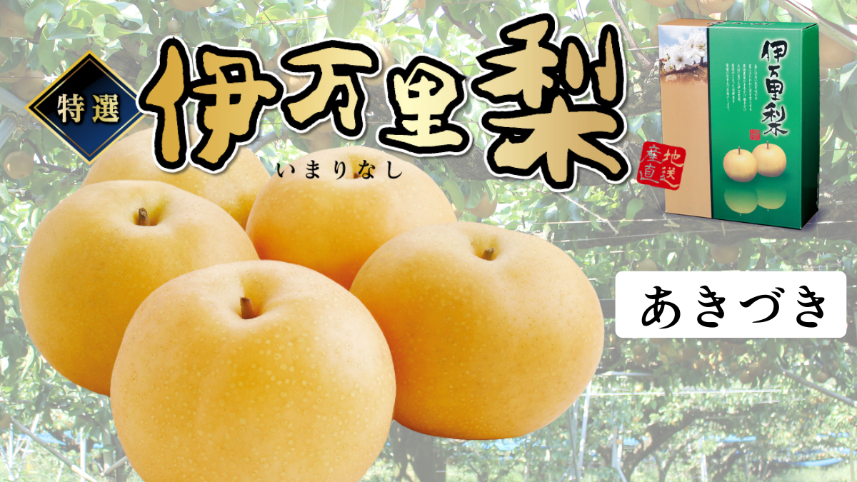 佐賀県産 特選「伊万里梨」(あきづき)