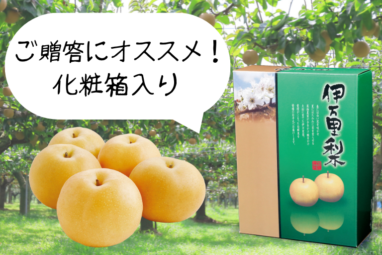 「伊万里梨・あきづき」は、贈り物にも喜ばれる化粧箱入りでお届けします。
