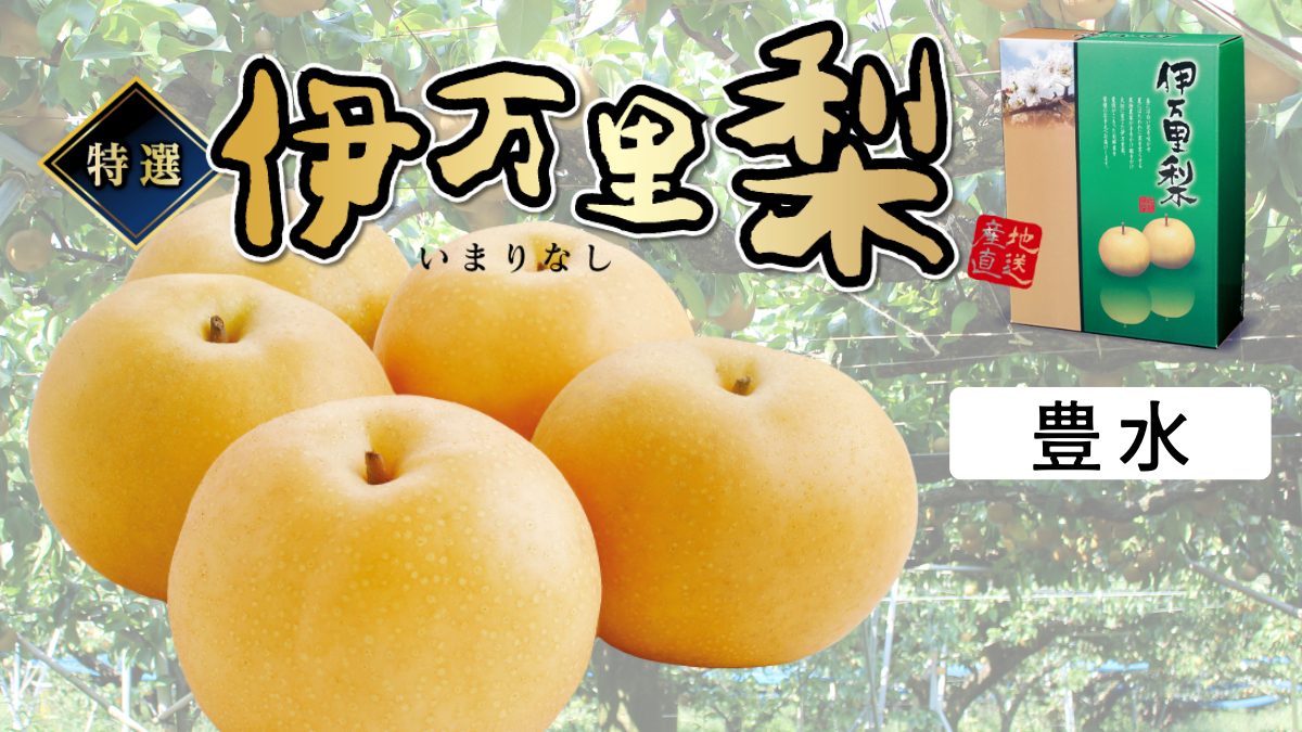 佐賀県産 特選「伊万里梨」(豊水)