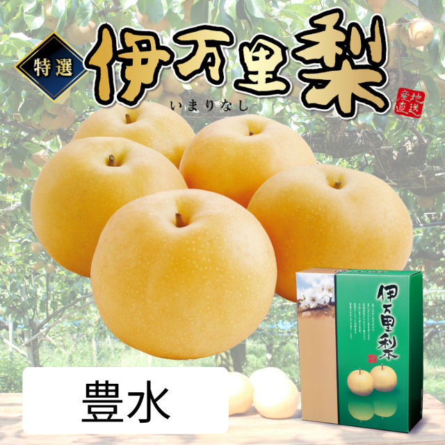 伊万里梨 豊水