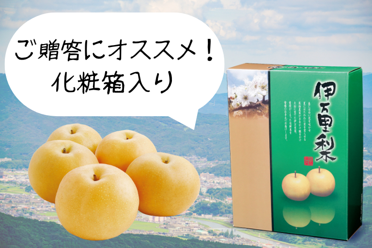 「伊万里梨・豊水」は、贈答用にふさわしい化粧箱入りでお届けします。