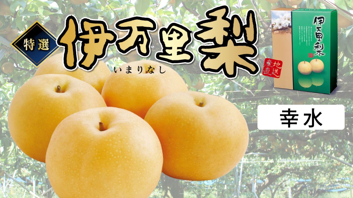佐賀県産 特選「伊万里梨」(幸水)
