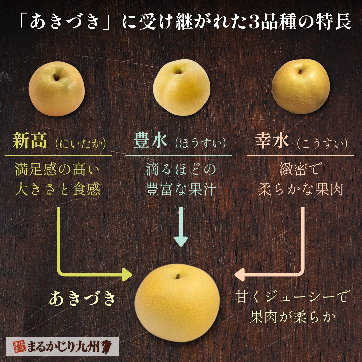 あきづき梨の特徴（新高・豊水・幸水を親に持つ人気品種）