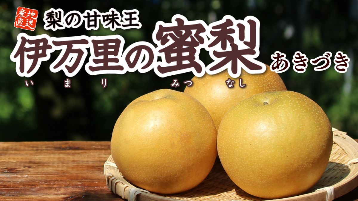佐賀県産「伊万里の蜜梨」あきづき