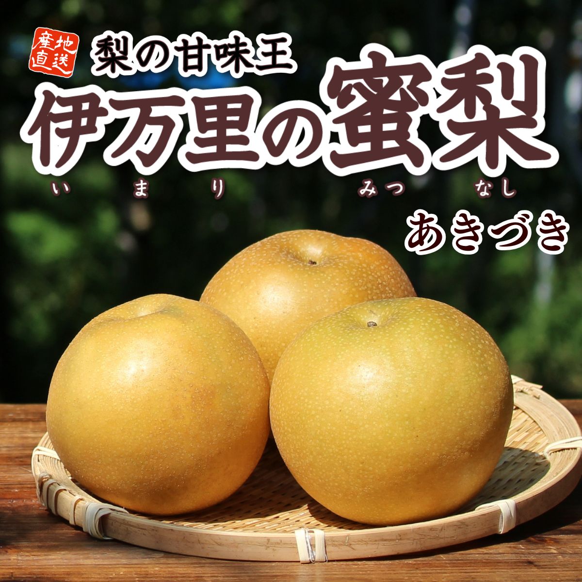 伊万里の蜜梨 あきづき