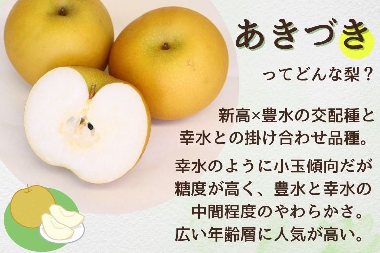 甘~い人気の梨あきづきの特徴
