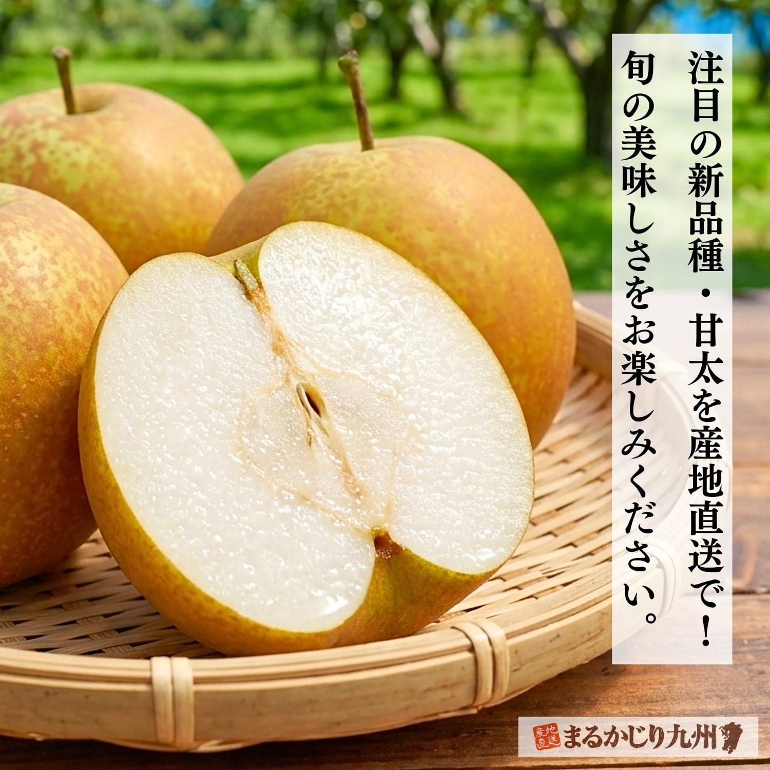 自然光の中で木のテーブルに置かれた甘太。落ち着いた雰囲気の中で梨本来の美味しさが伝わるシーン