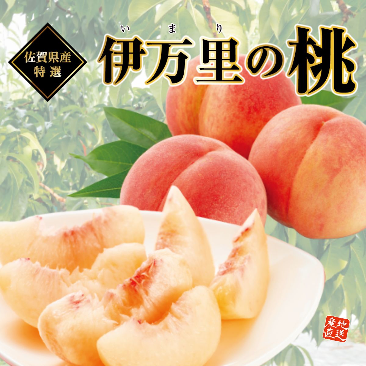 伊万里の桃