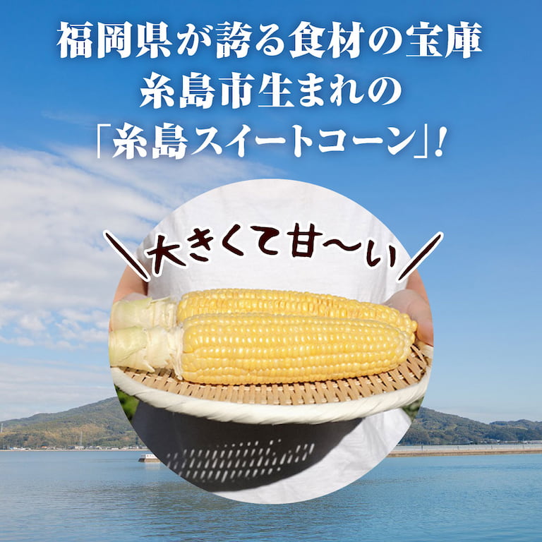 糸島市生まれの糸島スイートコーン