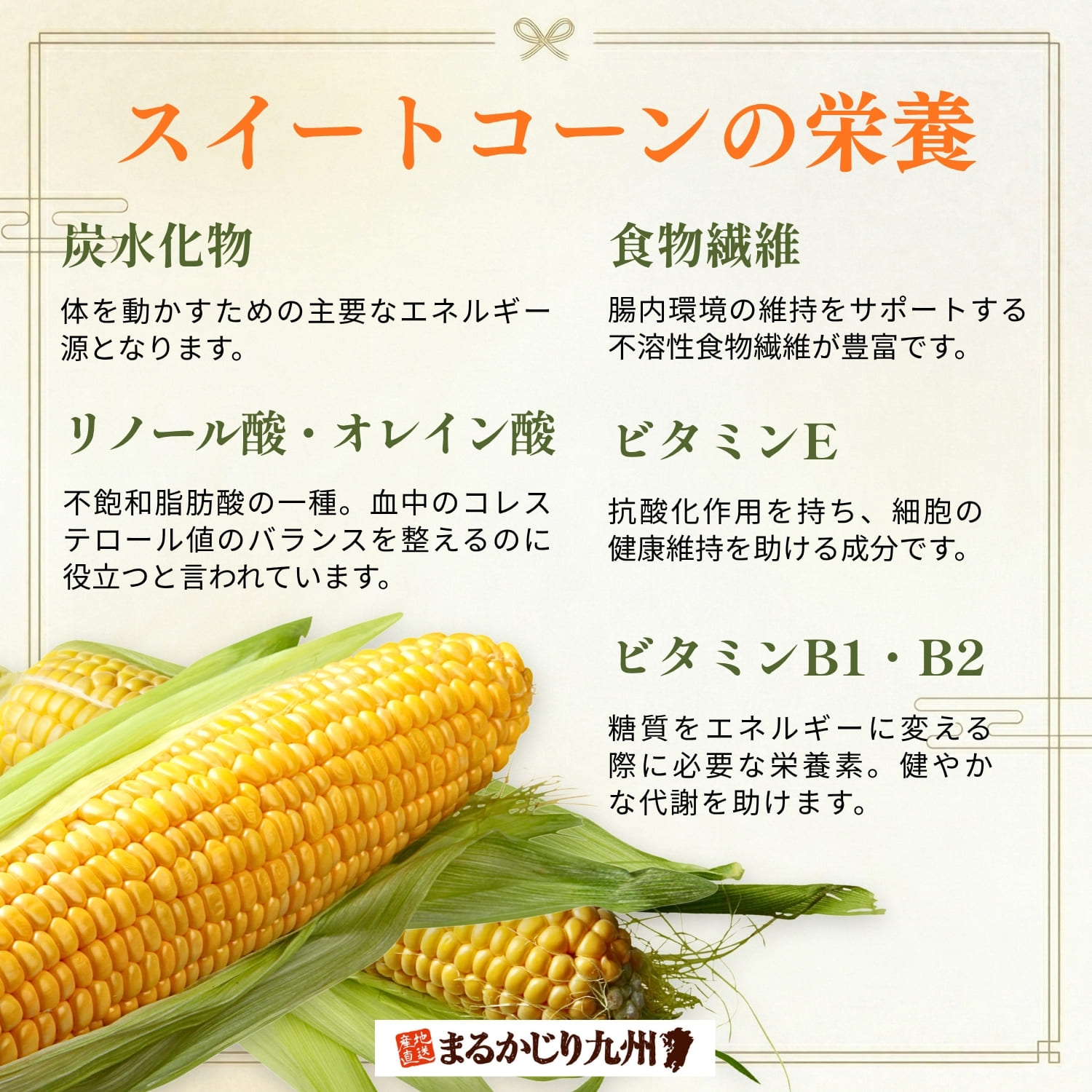 とうもろこしに含まれる炭水化物、食物繊維、ビタミンB群などの主要な栄養素