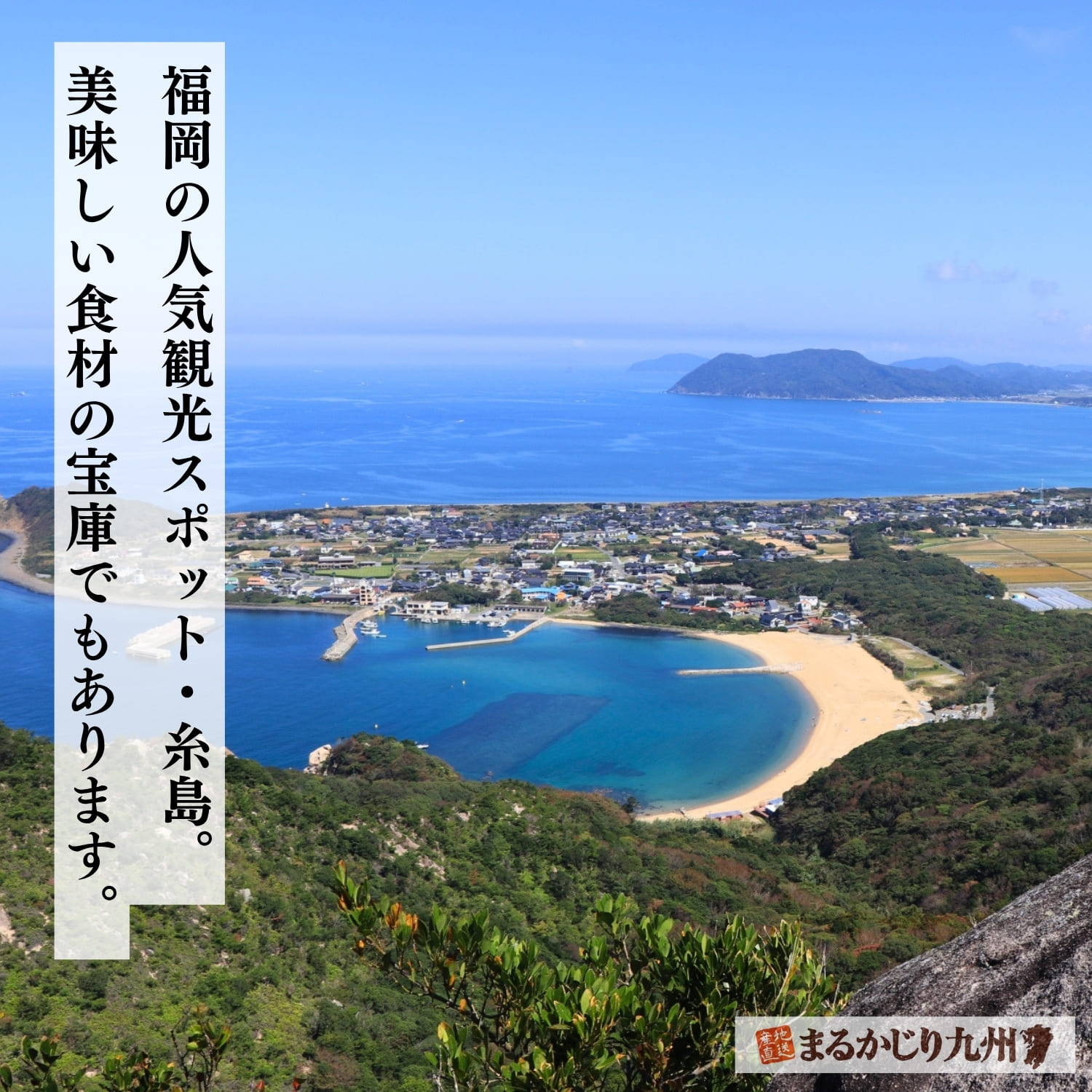 糸島では、豊かな自然環境を利用して農業や畜産、漁業が盛んです。