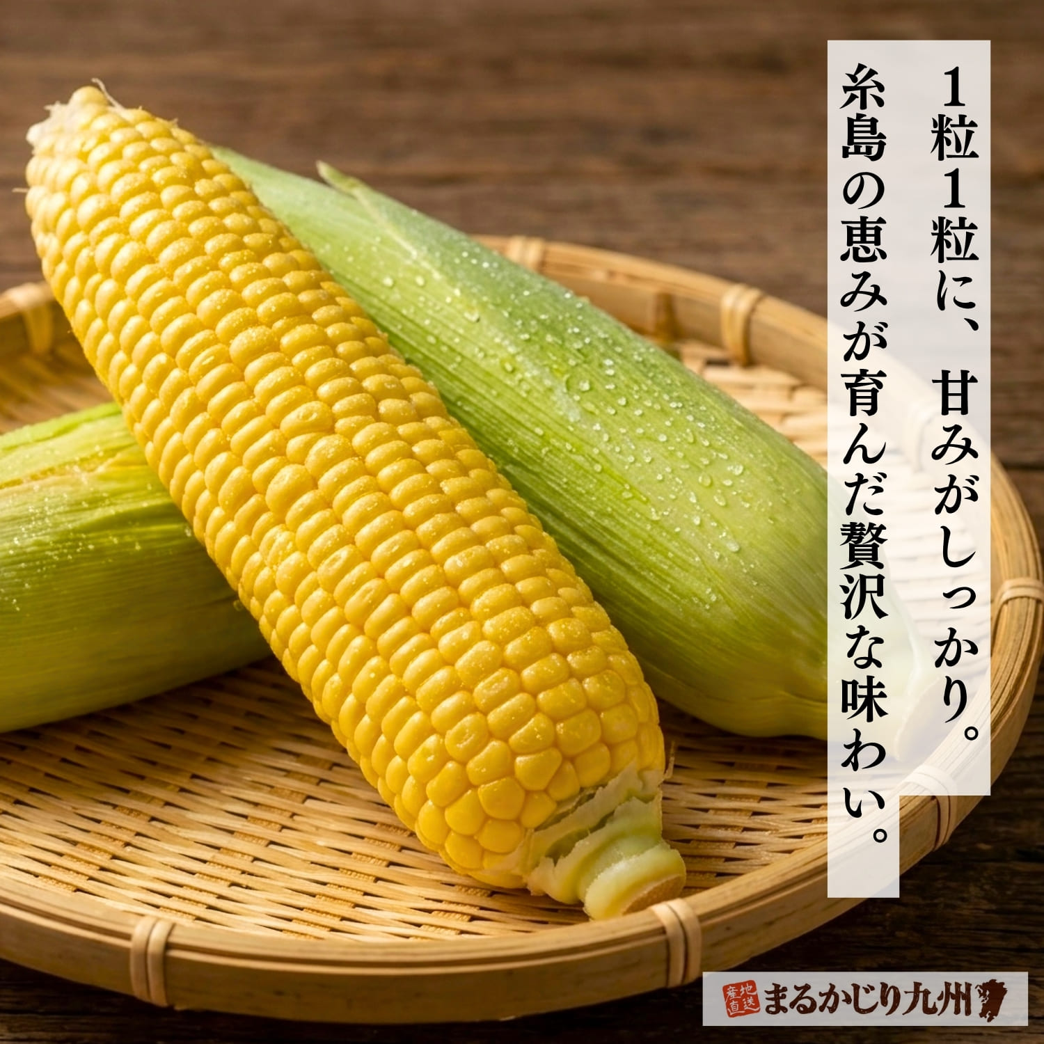 甘い品種のとうもろこしとして人気を集めている「恵味」