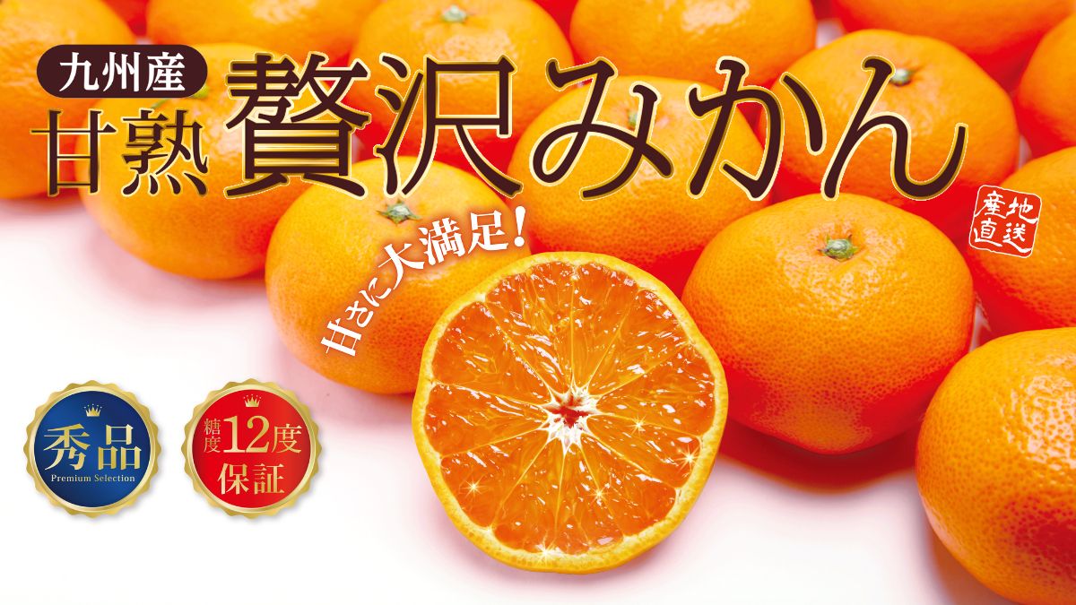 【高糖度みかん】濃厚で粒ぞろい、味も見た目も厳選した「甘熟 贅沢みかん」