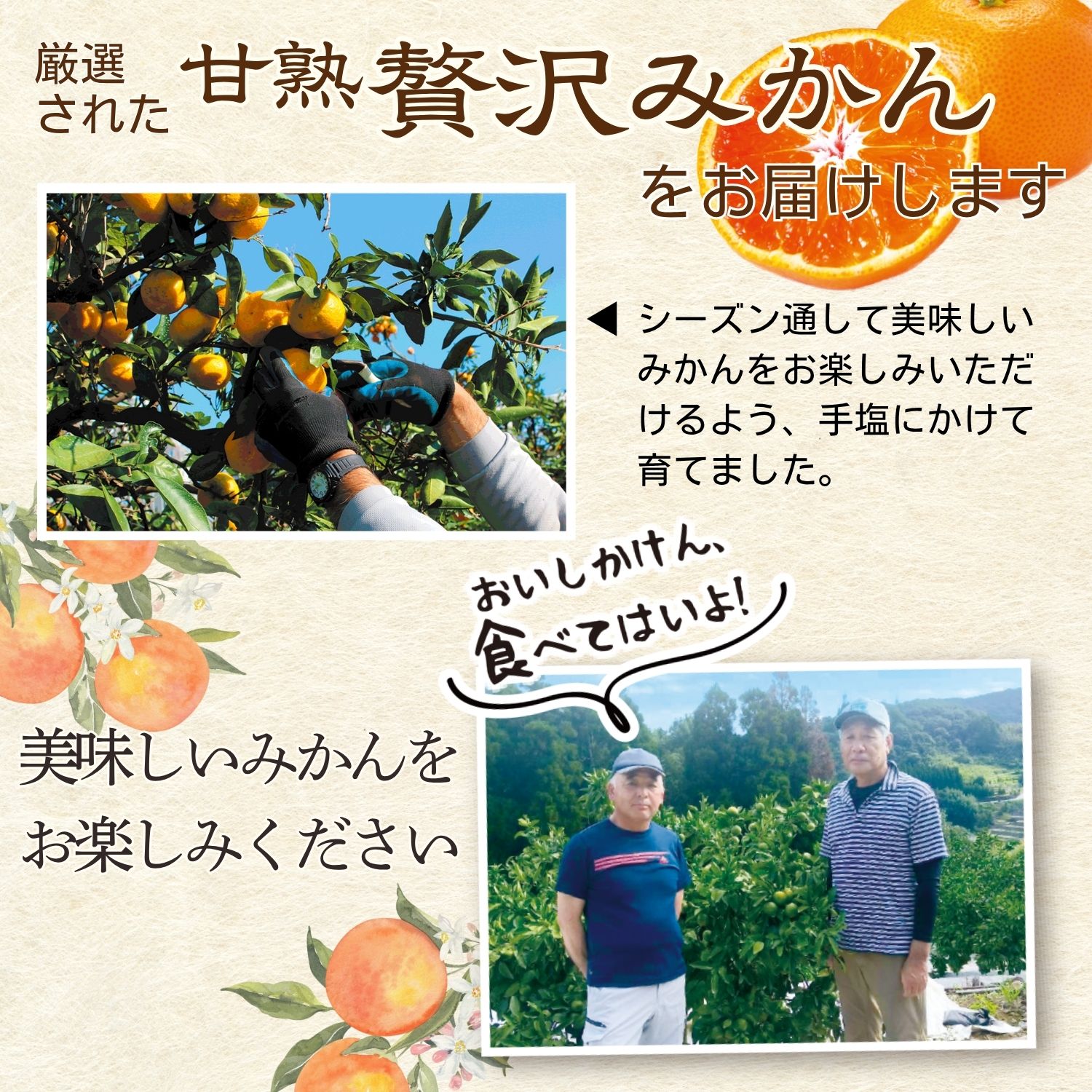農家さんが手塩にかけて育てたみかんをお届けします
