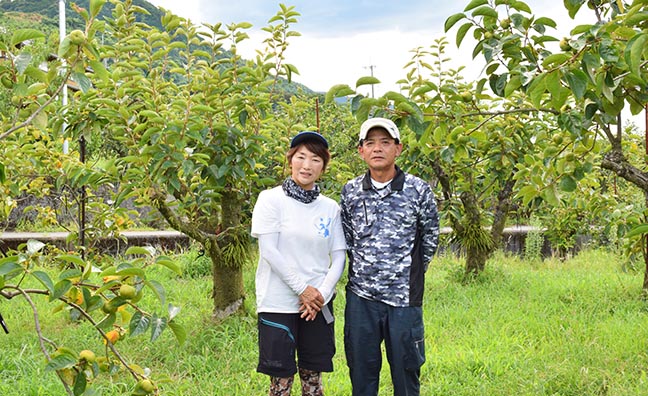 3代続く太秋柿農家の矢野さんご夫婦。