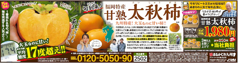 【太秋柿】旬の時期に名産地福岡県より通販でお届けします。「幻の柿」と呼ばれる希少品種！