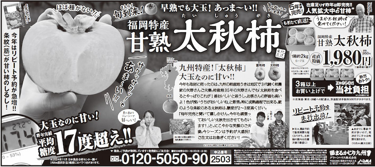 【太秋柿】旬の時期に名産地福岡県より通販でお届けします。「幻の柿」と呼ばれる希少品種！