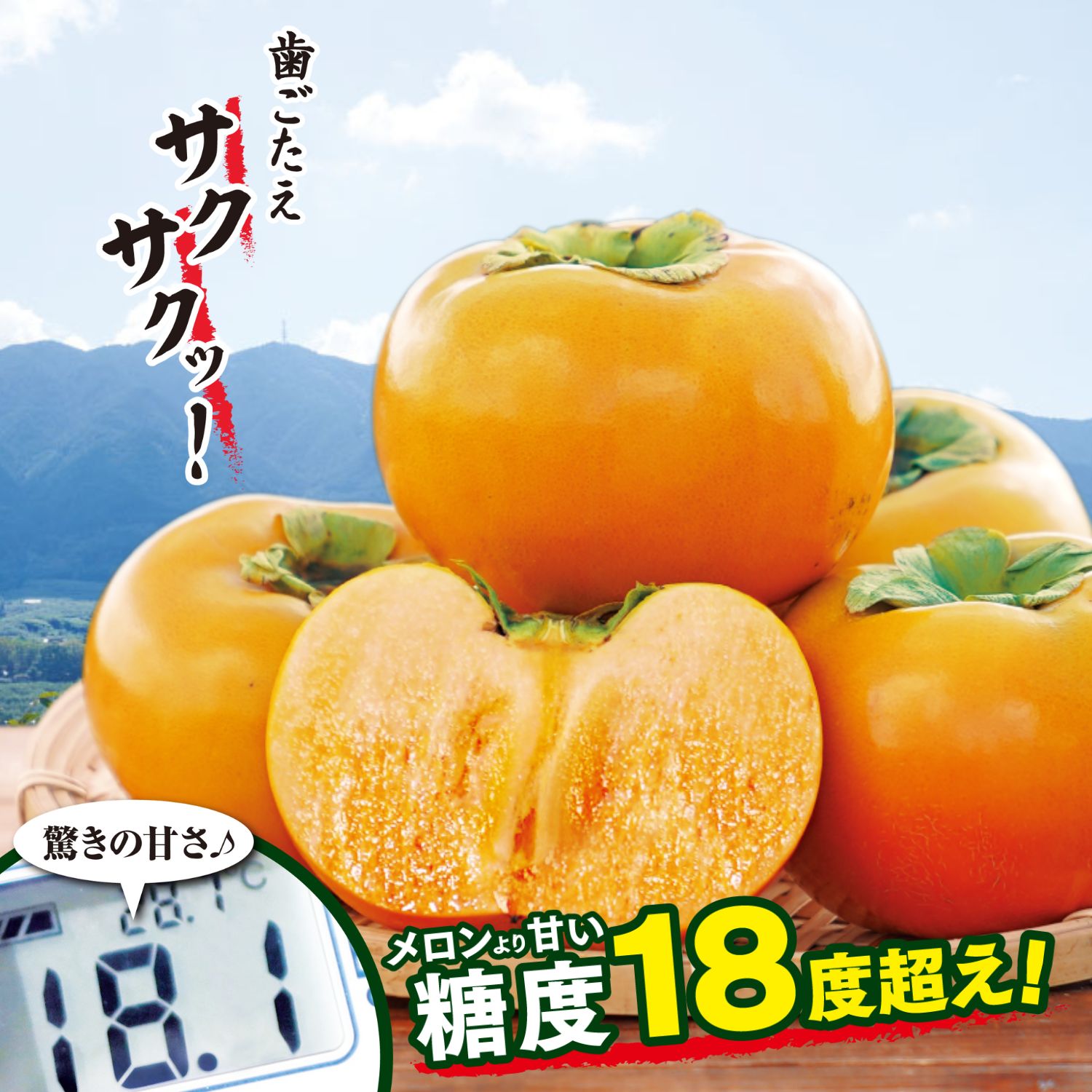 計測時糖度18度を超える甘さの太秋柿