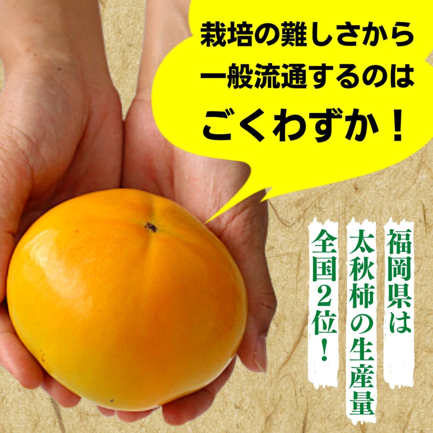 希少な太秋柿