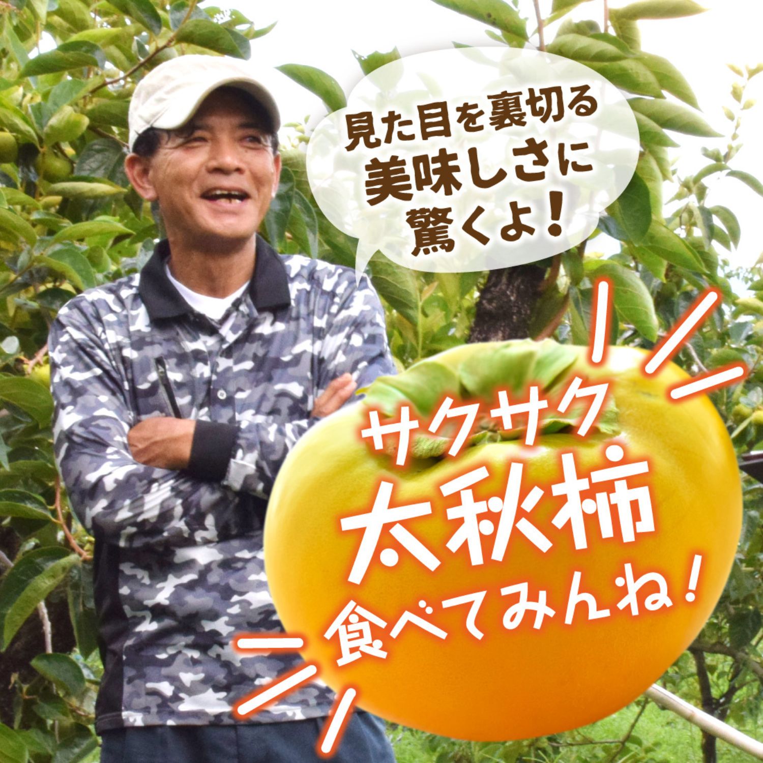 栽培方法について熱く語ってくださった矢野さん。丹精込めて柿を栽培しています。