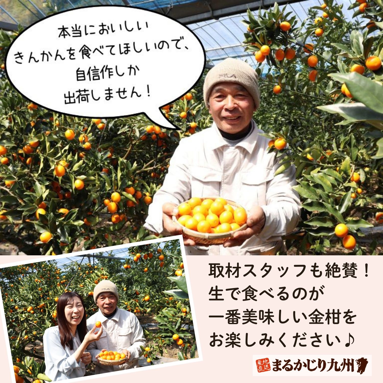 「本当においしいきんかんを食べてもらいたいから、自分が納得したものしか出荷しません。一度食べてみたら違いが分かりますよ！」と語る後藤さん。