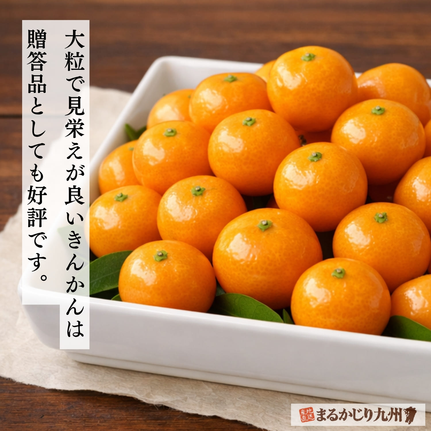贈答用の宮崎県産樹上完熟きんかん