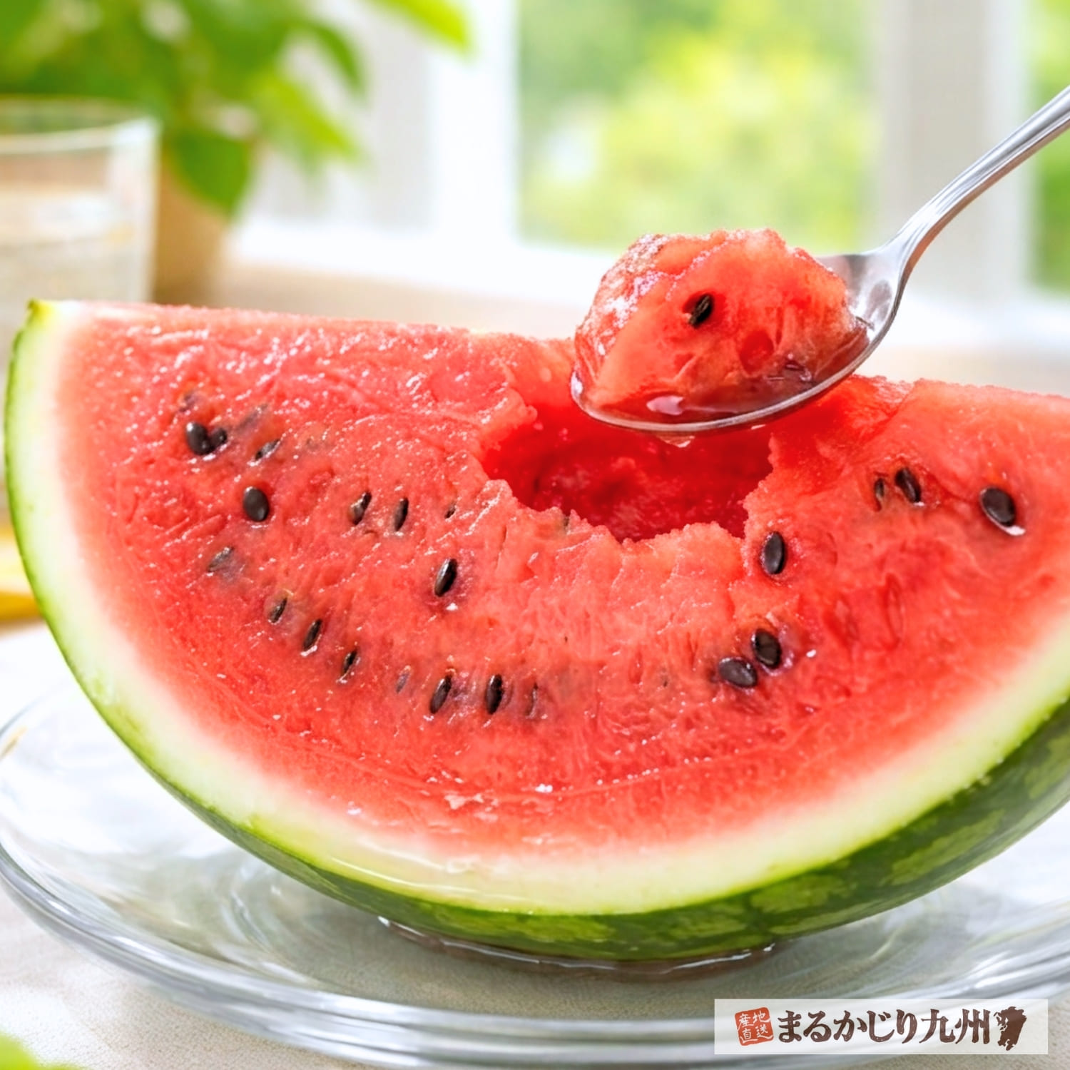 きたざきすいかを囲む幸せな食卓