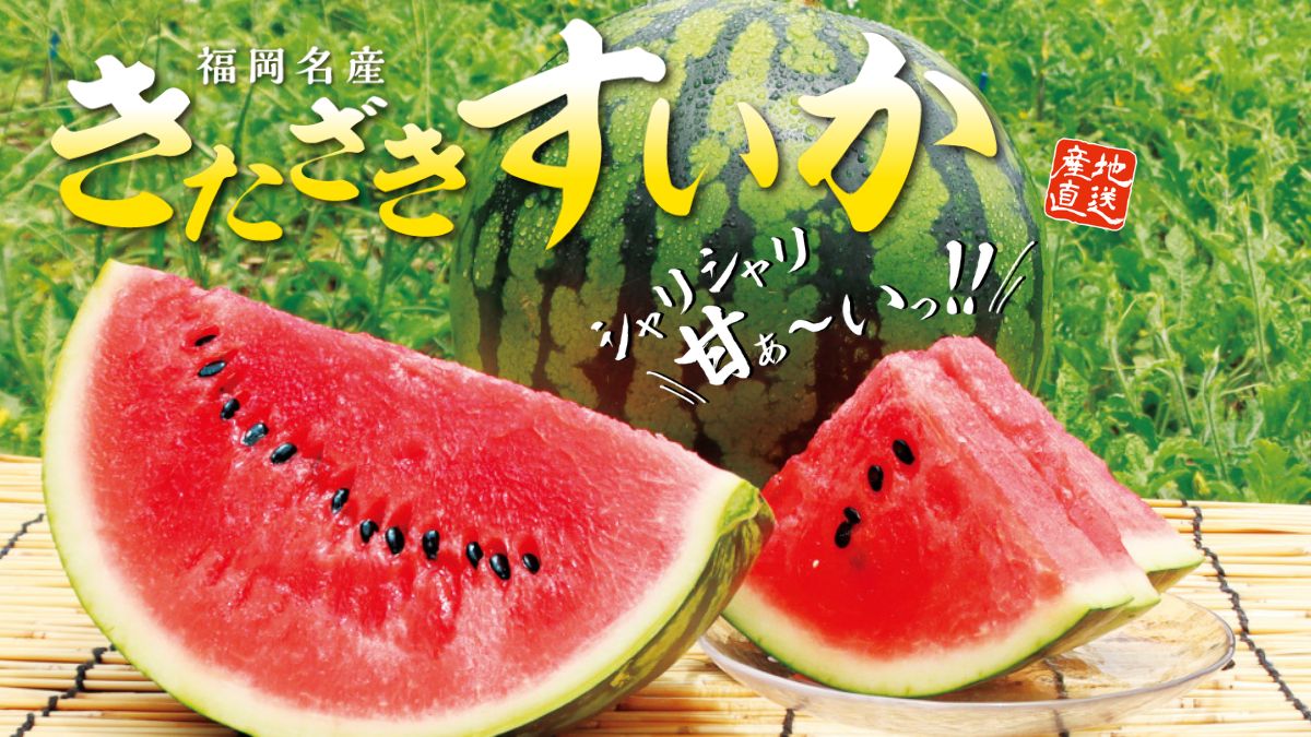 【福岡名産 きたざきすいか】スイカ好きに捧ぐ、究極のシャリ甘すいか！