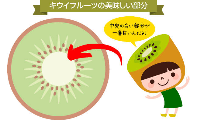 キウイはいつ食べるかが分かりにくいフルーツ。見分け方を知って、おいしい状態のものを食べましょう。