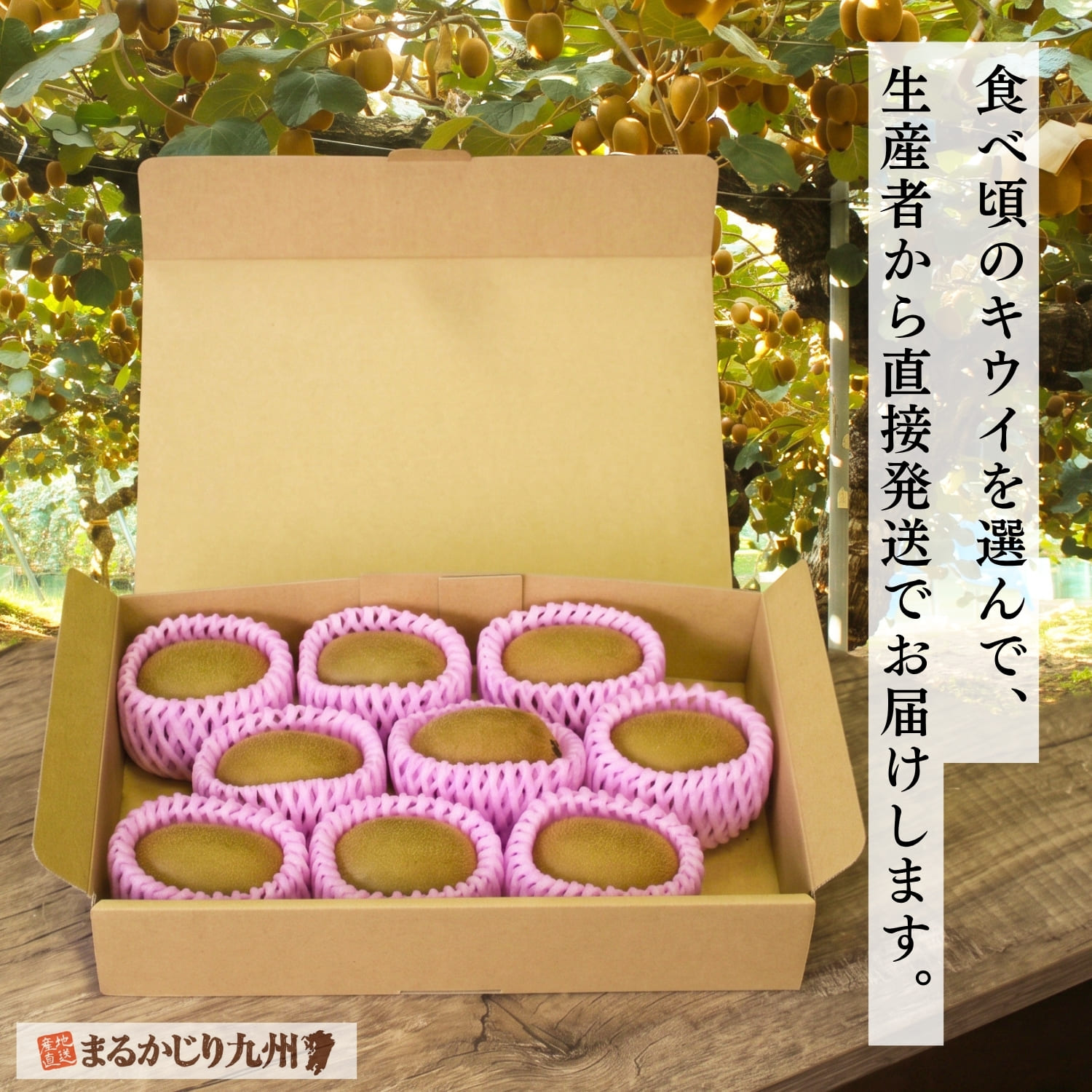 福岡県産キウイを産地直送で発送する専用箱