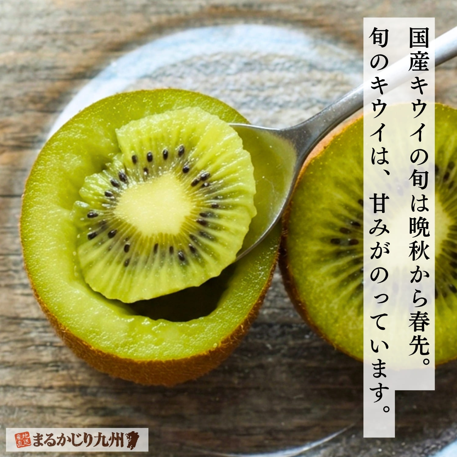 鮮度が高く、瑞々しい断面が美しい国産キウイ