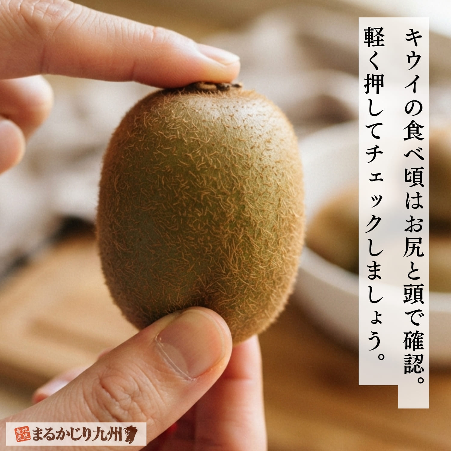 指で触れて国産キウイの熟し具合を確かめる様子