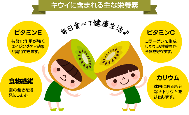 栄養分が豊富なキウイ。食物繊維が多く含まれているので便秘解消にも効果を発揮します。