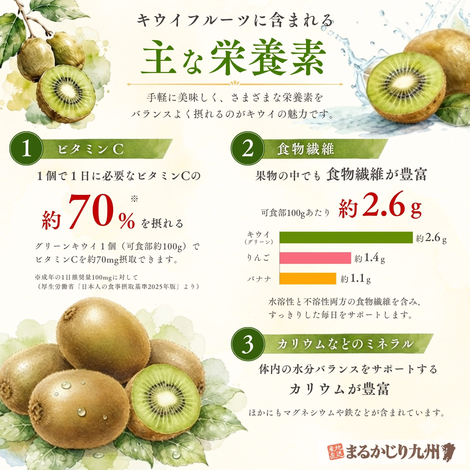 国産キウイに含まれるビタミンCや食物繊維などの栄養素を紹介するインフォグラフィック