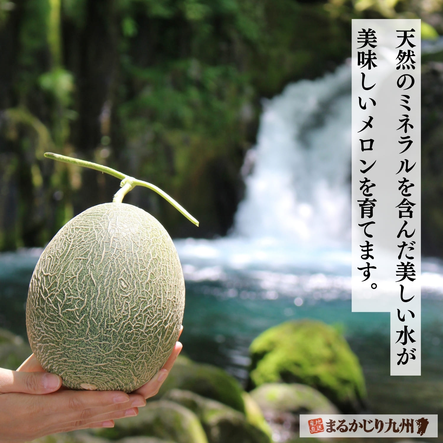 阿蘇の山々が育む豊かな水資源。この水が旬のメロンの美味しさの源です。