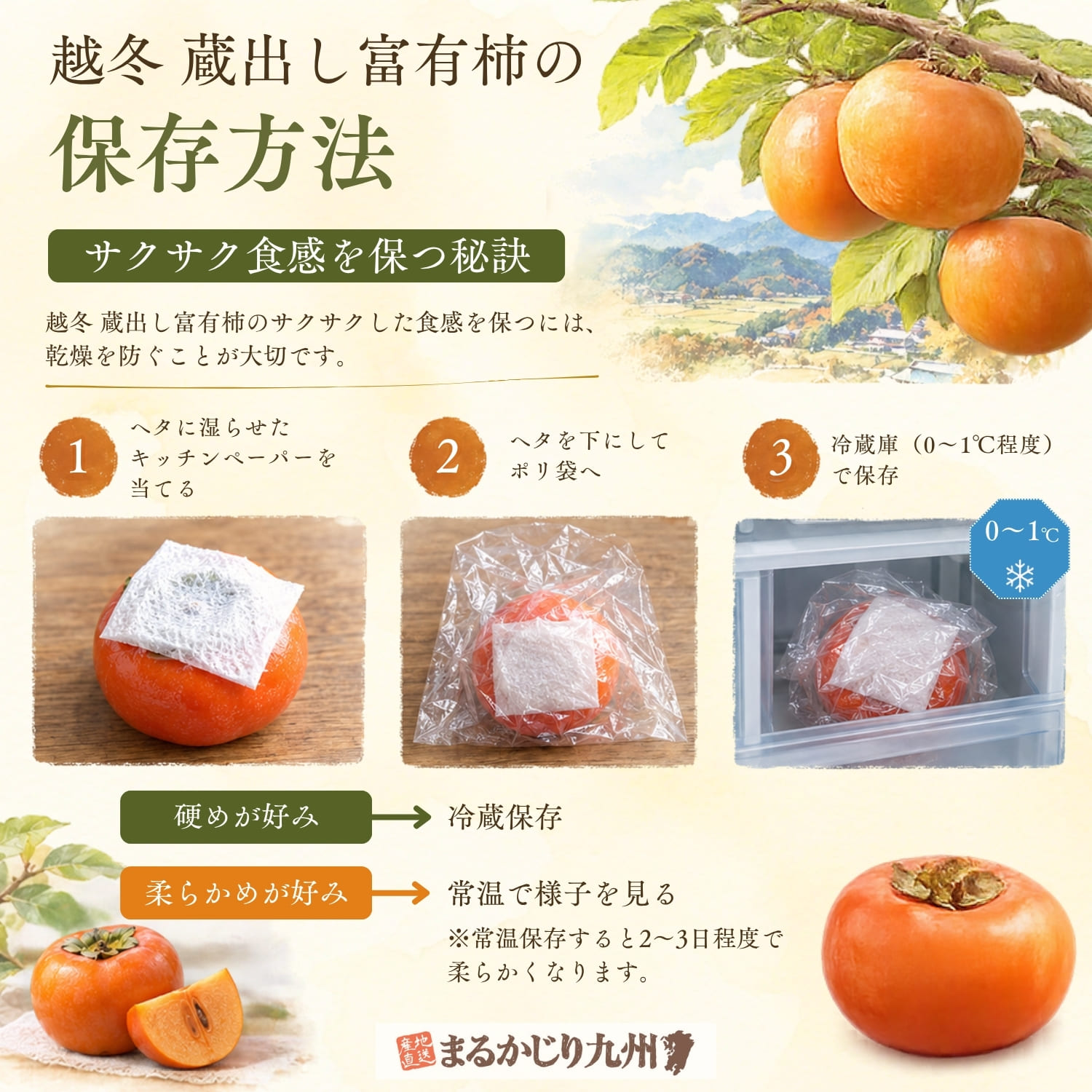 越冬 蔵出し富有柿を冷蔵庫で保存する方法｜ヘタに湿らせたキッチンペーパーを当ててポリ袋へ