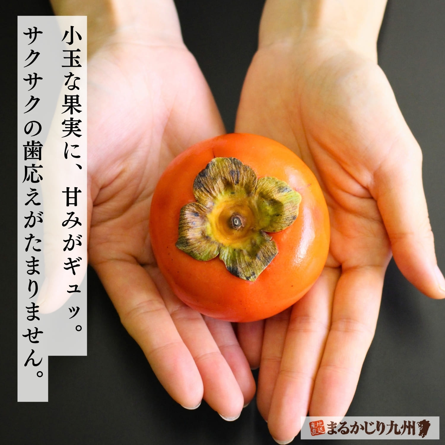 小玉だから長持ちする福岡県産の越冬 蔵出し富有柿（長期甘熟富有柿）
