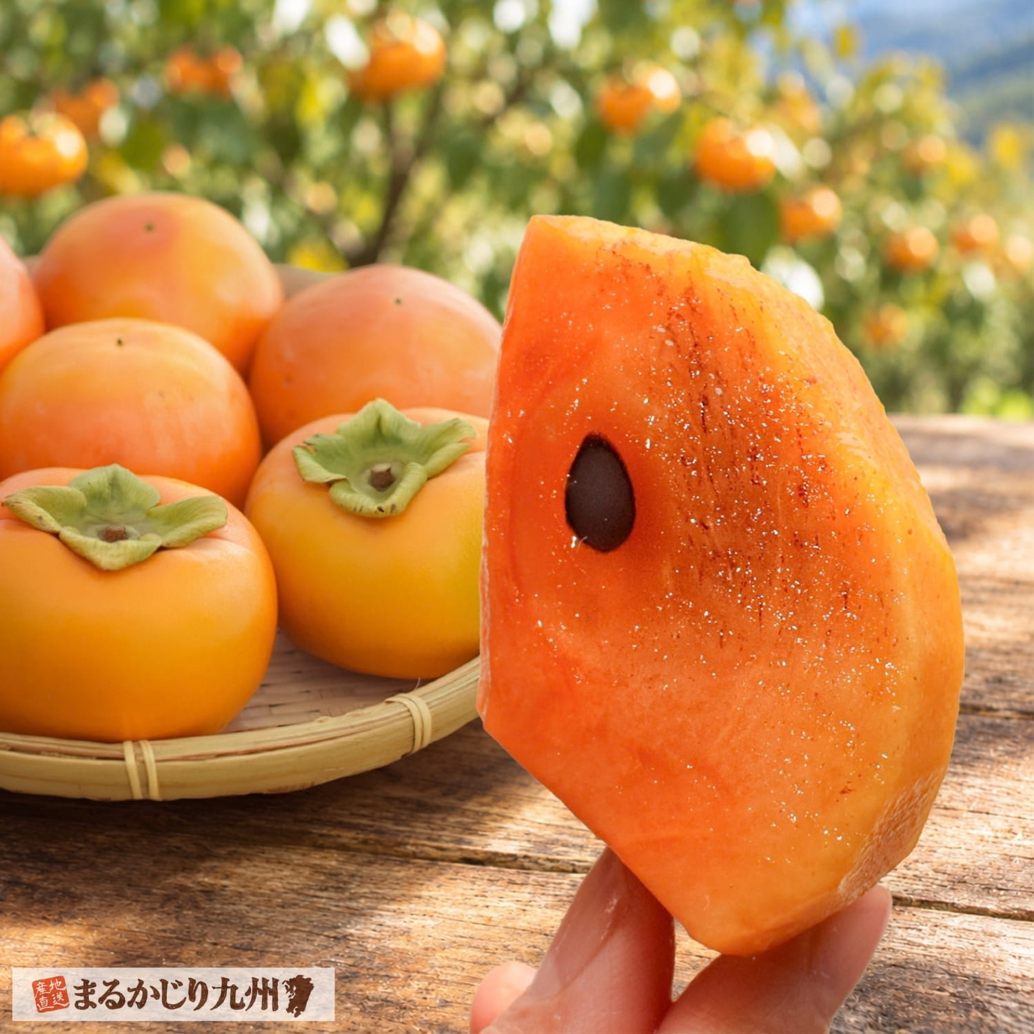旬の時期に収穫して保存した、3月まで楽しめるサクサク食感の生柿・越冬 蔵出し富有柿