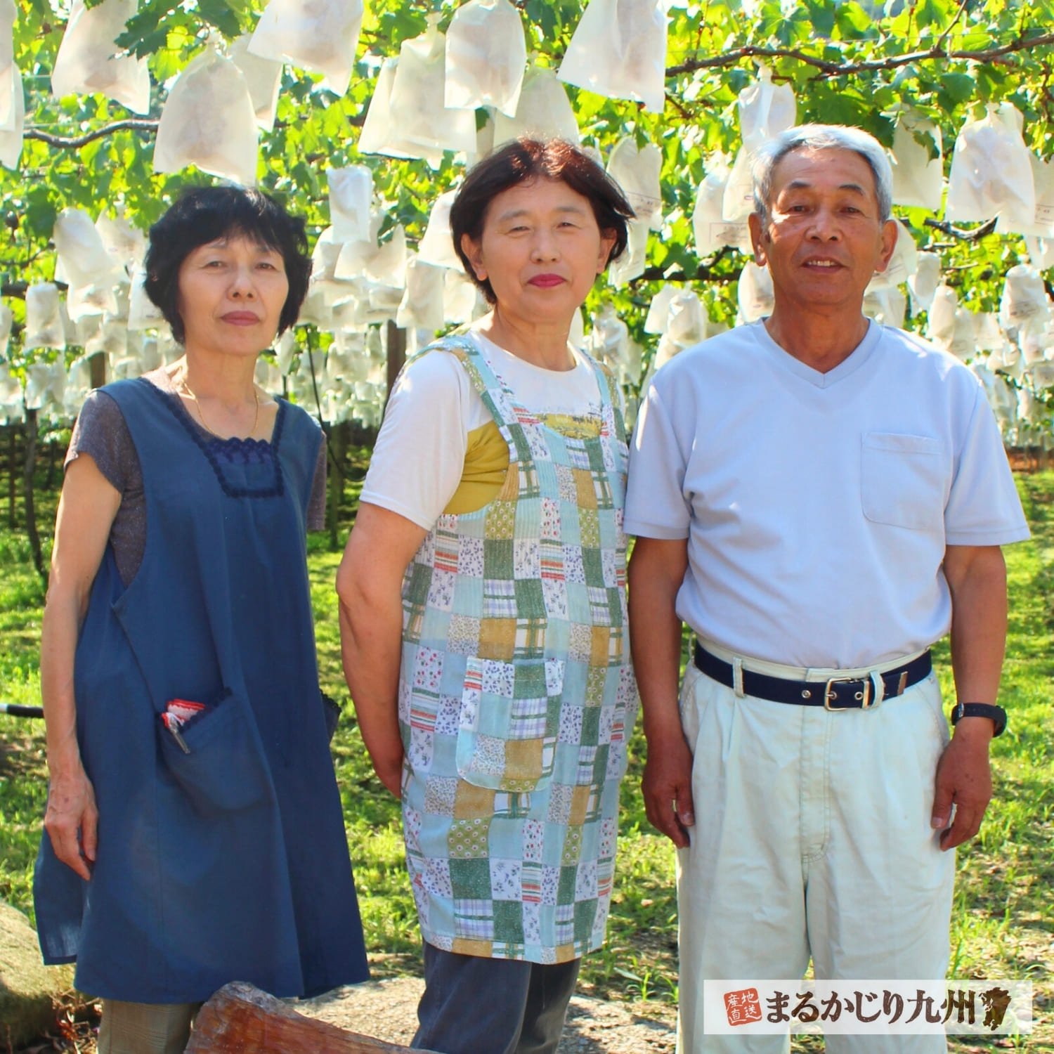 契約農家の岩佐さんご家族