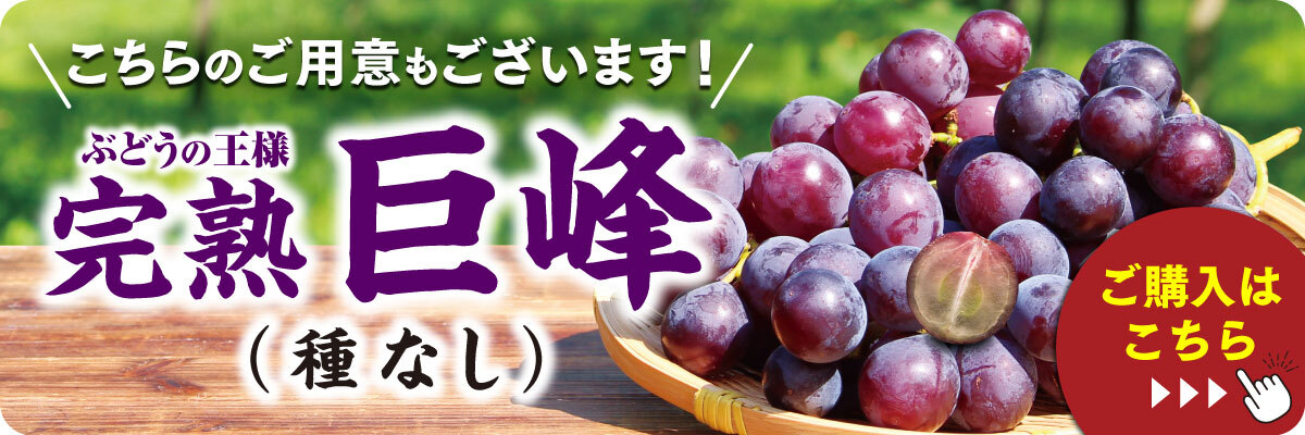 種なし巨峰のご購入はこちら