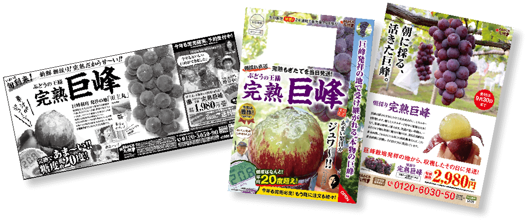 毎年新聞やチラシで案内するたびに、早期完売の完熟巨峰！まるかじり九州の一大人気フルーツです！