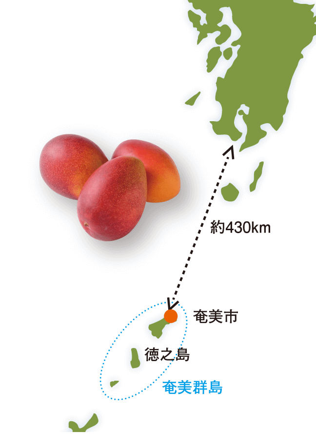 奄美群島は九州本島から約430km