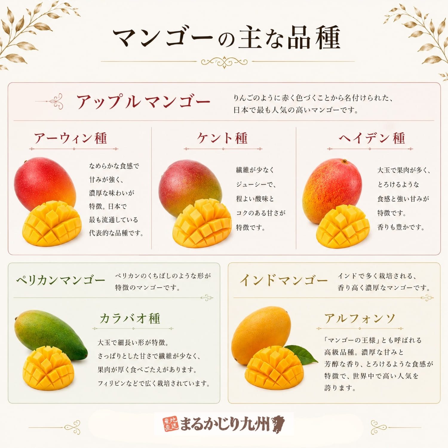 マンゴーの主な品種一覧。アップルマンゴー（アーウィン種）、ケント種、ヘイデン種、カラバオ種、アルフォンソなど代表的なマンゴー品種の特徴比較