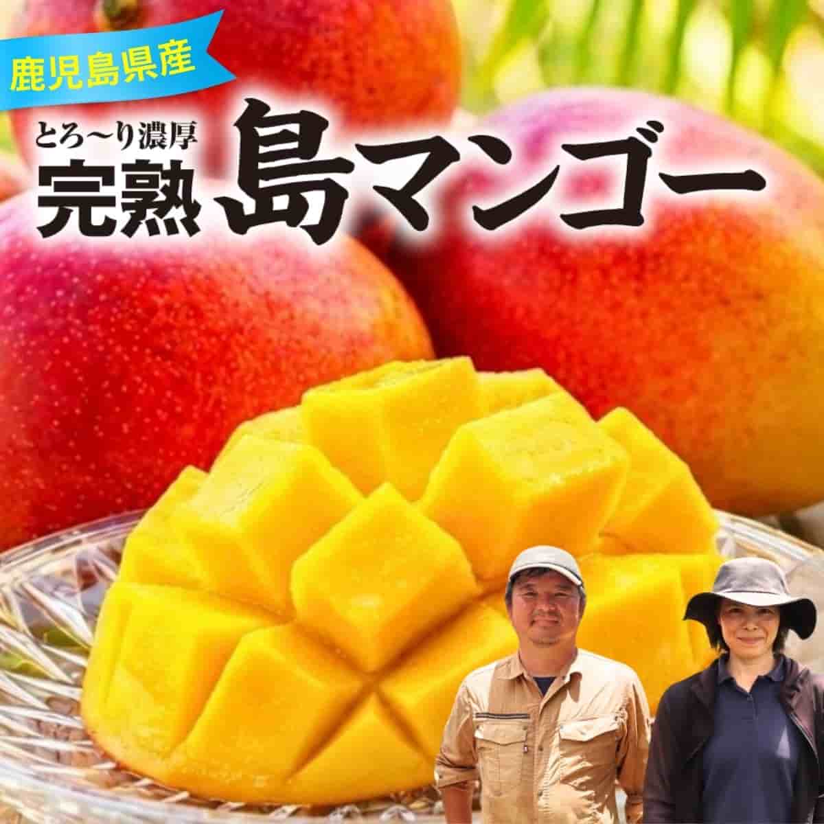 完熟 島マンゴー