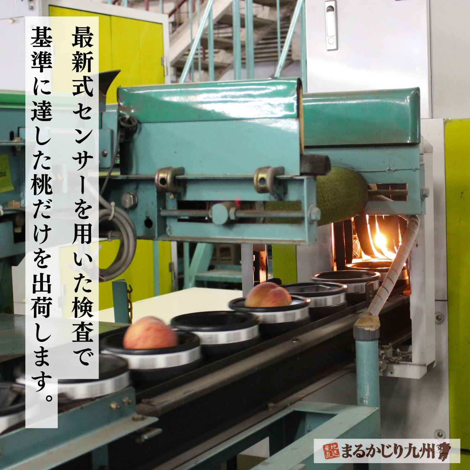 最新センサーでチェックした桃だけを産地直送でお届け