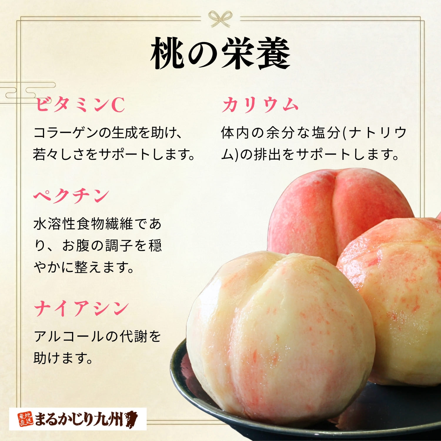 緻密な果肉とあふれる果汁。鮮度にこだわった朝倉産の白桃