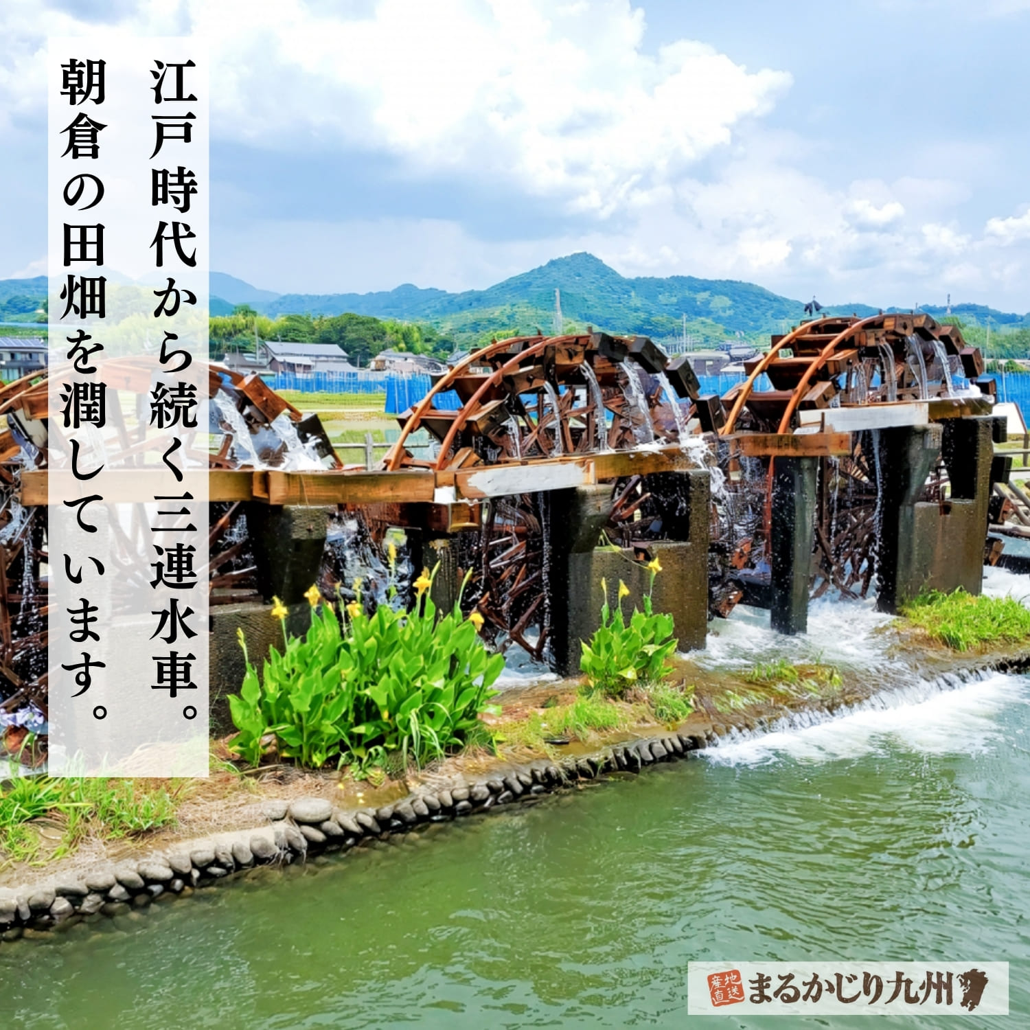 朝倉の象徴である三連水車。豊かな水が農業を支えてきた歴史を物語る