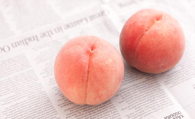 朝倉の桃は贈答用としてもおすすめのフルーツです。