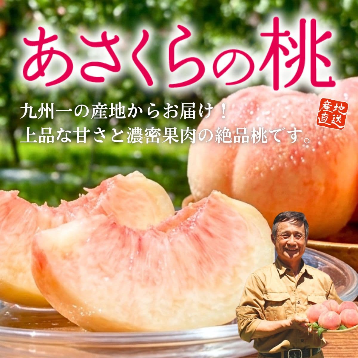 あさくらもも